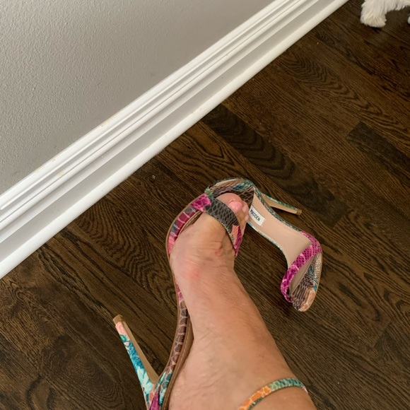 Snakeskin multi color design shoe. Steve Madden. - Picture 4 of 4